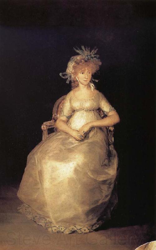 Francisco Goya The Countess of Chinchon